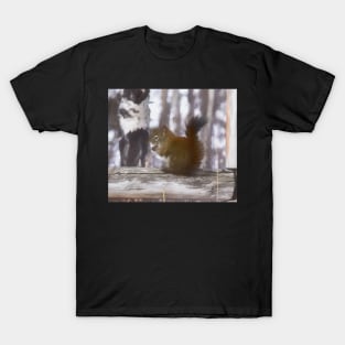 Squirrel on the fence illustration T-Shirt